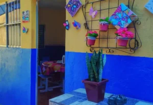 escola_jardim_vista_alegre_zona_norte_educação_infantil_zona_norte_06